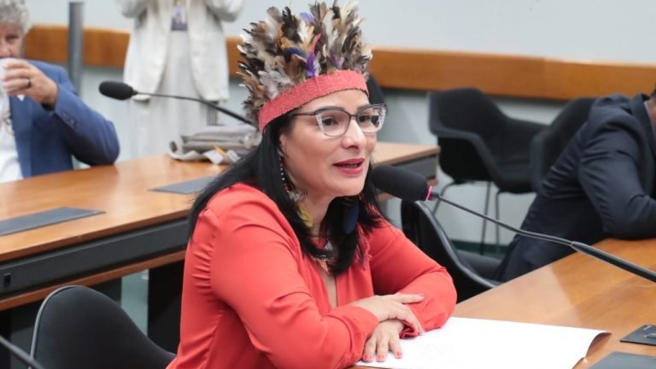 img20260204180102351-768x473