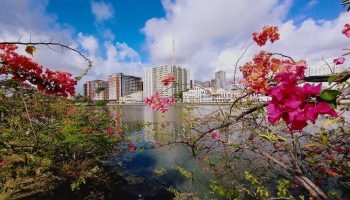 img_20221118_071012421___copia-22506745