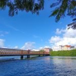 img_20221125_064535192-22506761