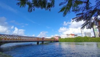 img_20221125_064535192-22506761