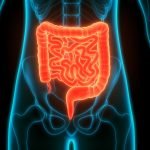 intestino_4