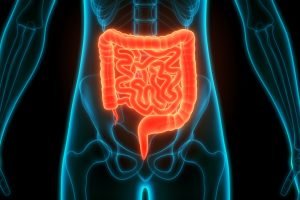 intestino_4