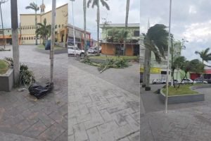 litoral-ventania-alerta