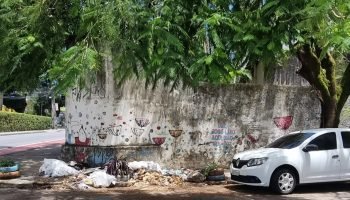 lixo-36088207