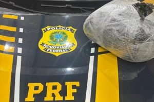 maconhaApreendidaPetro