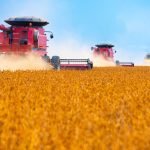 Imagem de máquinas agrícolas em ação — Foto: 1 de 1 Imagem de máquinas agrícolas