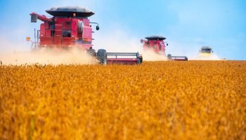 Imagem de máquinas agrícolas em ação — Foto: 1 de 1 Imagem de máquinas agrícolas