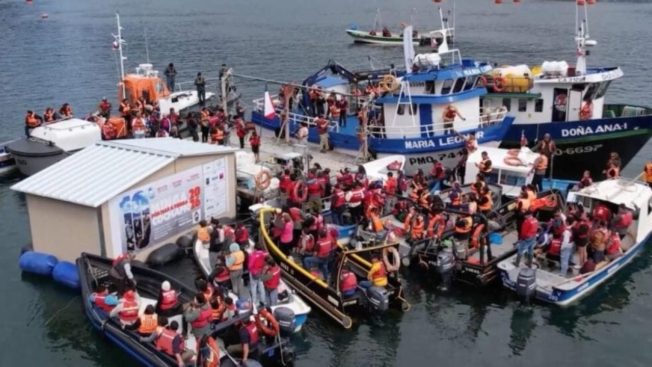 A 1ª edição da "Minga por Mar e Terra" em Cochamó foi realizada em 2015, como re