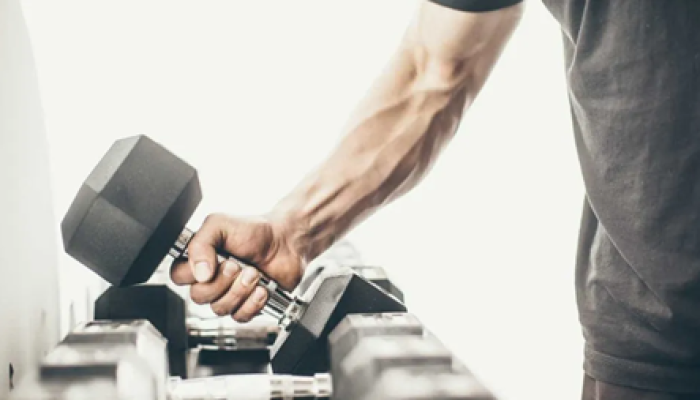 musculaçao