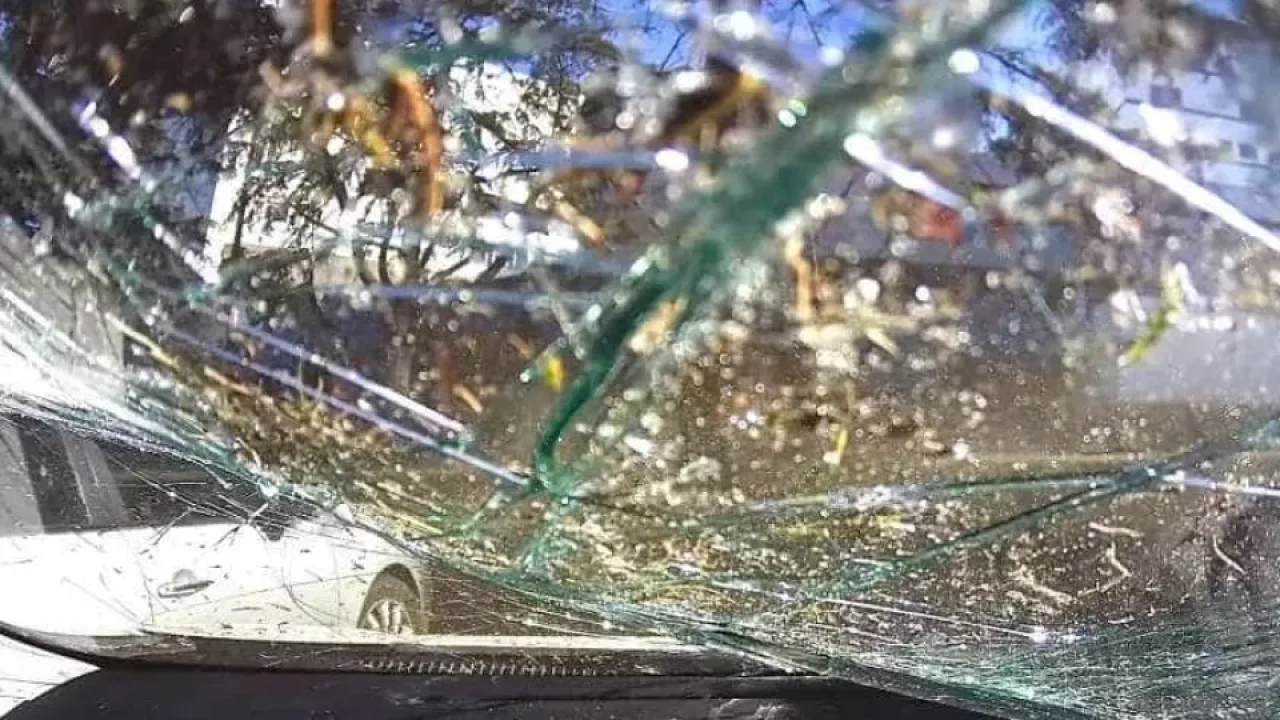 naom_5a1d584af3fb9 naom_5a1d584af3fb9