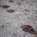 Criança baleada em quadra morreu nos braços do irmão no Rio, diz tio — Foto: Cri