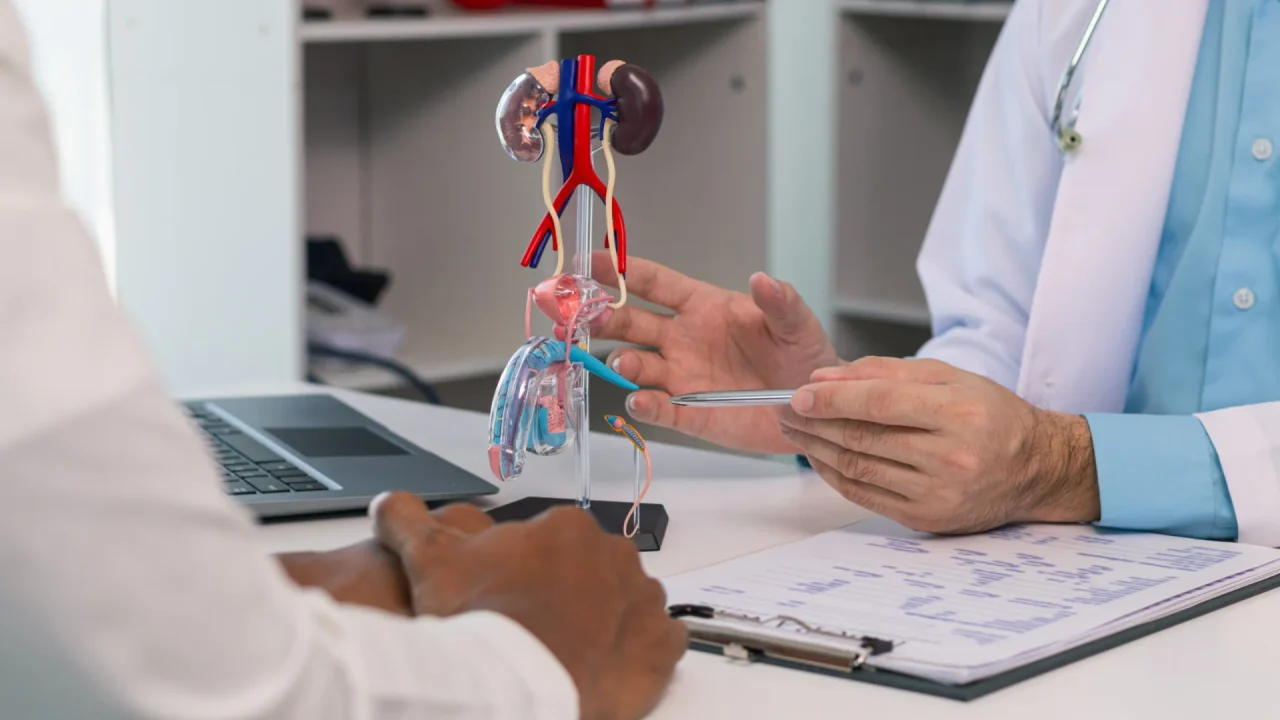 naom_65c2532d6c555 naom_65c2532d6c555