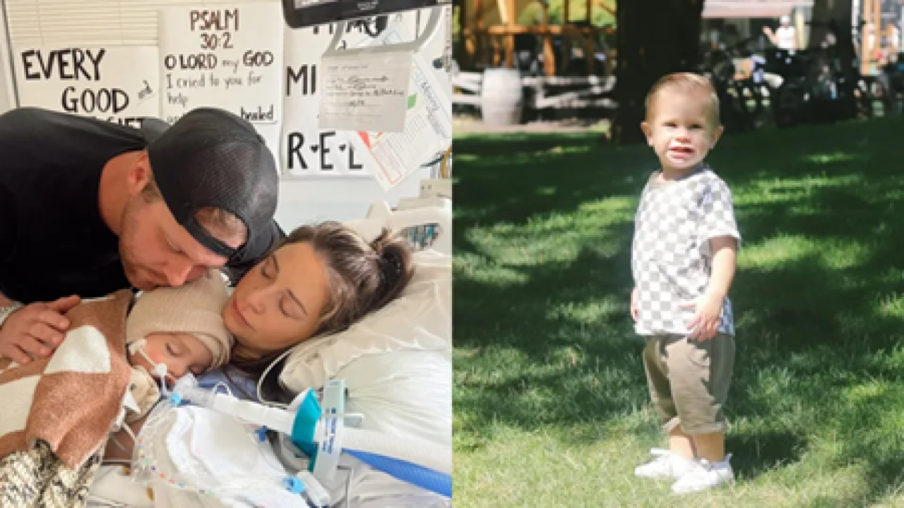 naom_67ece5db6cea7 naom_67ece5db6cea7