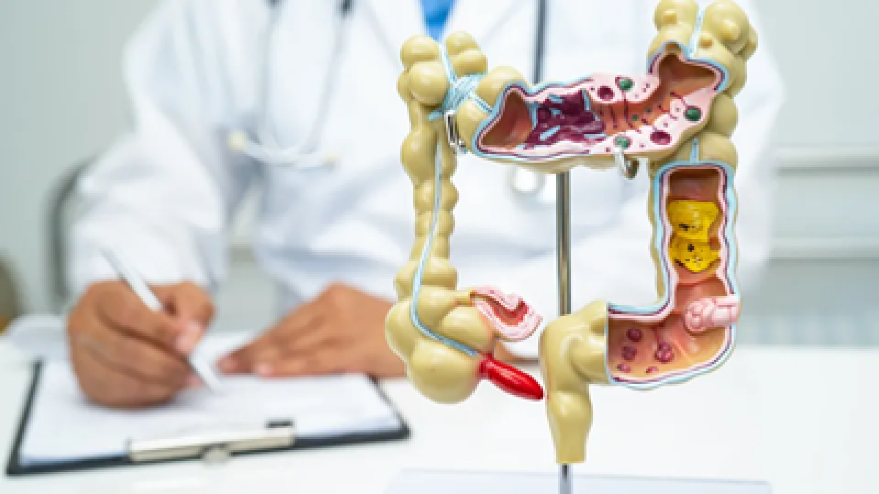 naom_68114aa91899b naom_68114aa91899b