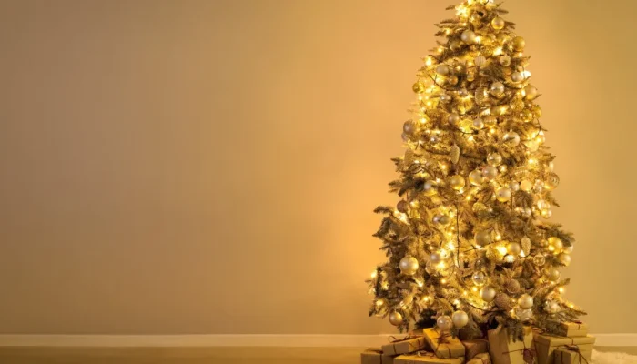 É seguro deixar as luzes de Natal acesas à noite? Especialistas alertam