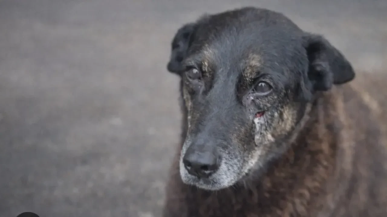 naom_6978a7efcfbd0 naom_6978a7efcfbd0