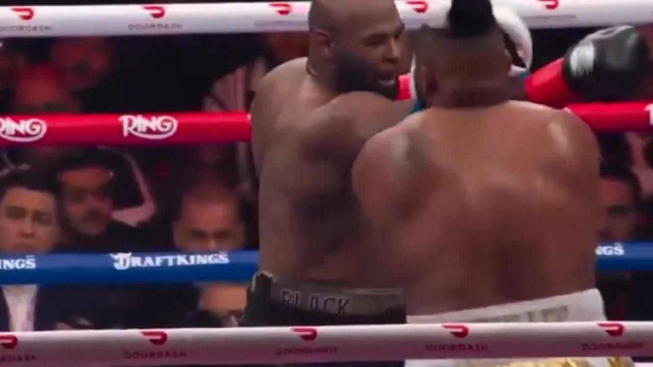 naom_697f3a0774e8c naom_697f3a0774e8c