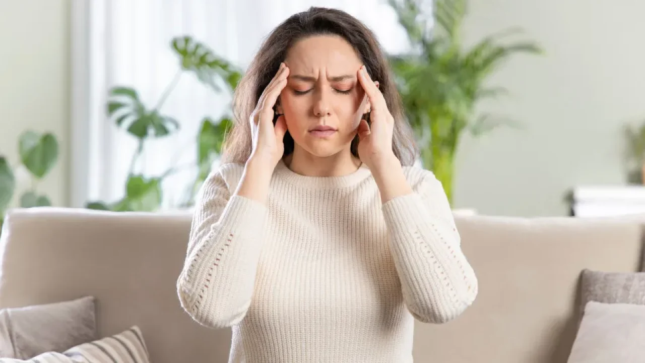 naom_6981aefdb79cc naom_6981aefdb79cc