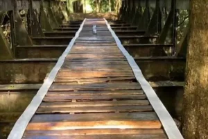Ponte ferroviária histórica desaparece em Prados (MG) e é achada a 180 km — Foto