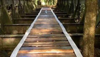 Ponte ferroviária histórica desaparece em Prados (MG) e é achada a 180 km — Foto