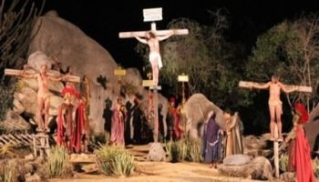 noticia-8332-20240320204504