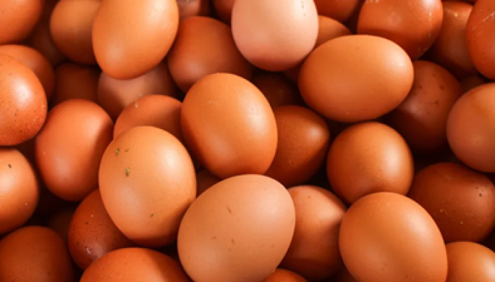 ovos