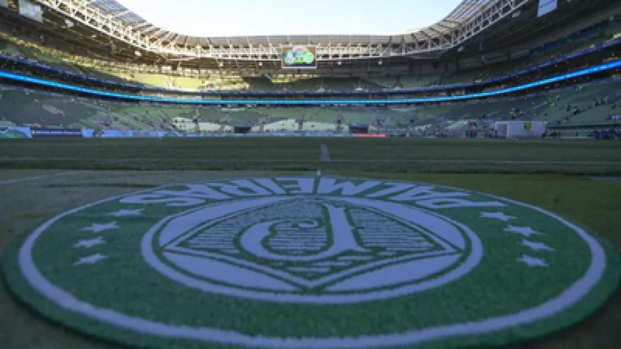 palmeiras