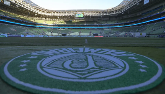 palmeiras