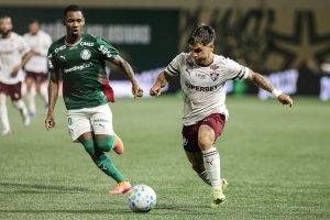 palmeirasxfluminense
