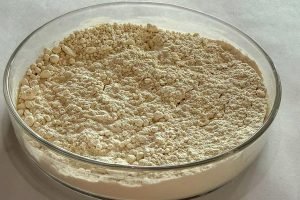 pesquisadores-transformam-graos-quebrados-de-feijao-em-ingrediente-proteico-de-alto-valor