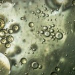 pfas-substancias-eternas