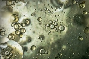 pfas-substancias-eternas
