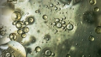 pfas-substancias-eternas