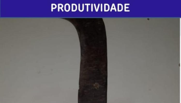 pm-foice1