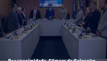 por-unanimidade-camara-de-salg_66665