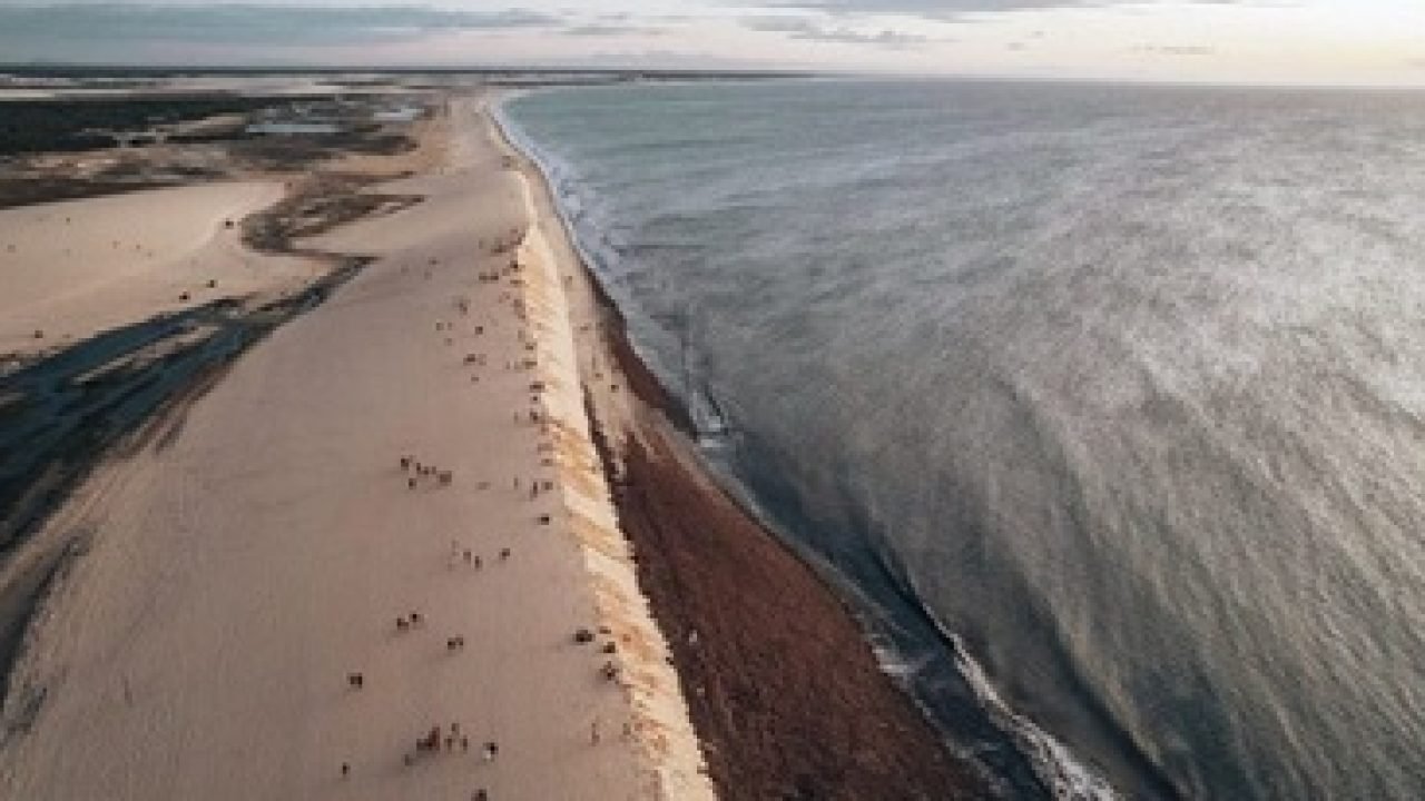 praia-nordeste-640x330