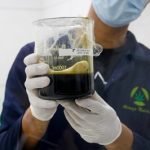 producao_cannabis_medicinal-838612