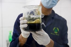 producao_cannabis_medicinal-838612