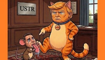 rato-lambe-o-gato