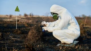 scientist_exploring_flora_soil_burnt_field-36479100