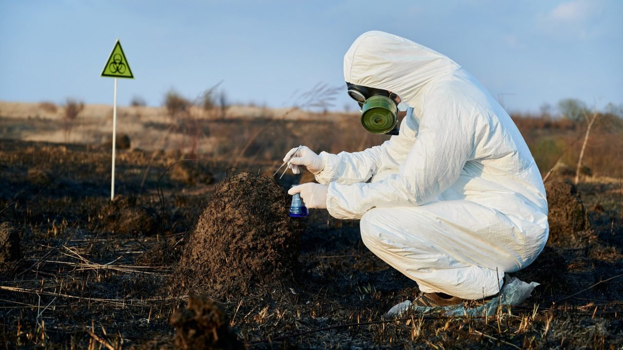scientist_exploring_flora_soil_burnt_field-36479100 scientist_exploring_flora_soil_burnt_field-36479100