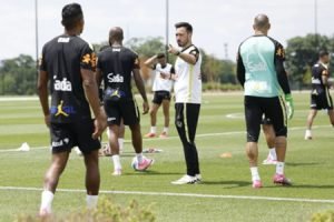 selecao
