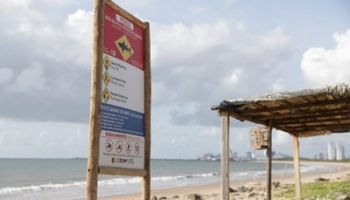 tubarao recife