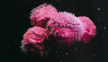 understanding-cell-to-cell-communication-in-cancer-375894-1280x720-1