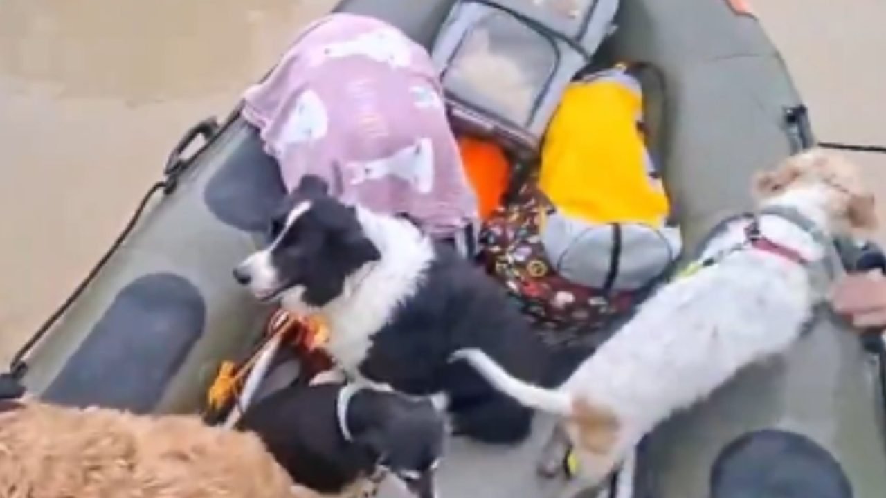 untitled-project-1 untitled-project-1