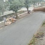 video-mostra-arvore-caindo-e-matando-homem-em-situacao-de-rua