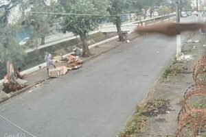 video-mostra-arvore-caindo-e-matando-homem-em-situacao-de-rua