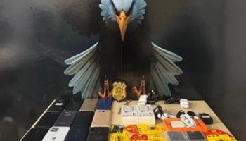 whatsapp-image-2026-