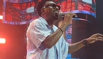 whatsapp_image_2026_02_16_at_08_41_41-36463637